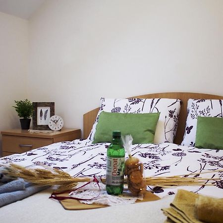 Apartma Pegaz Рогашка Слатина Экстерьер фото