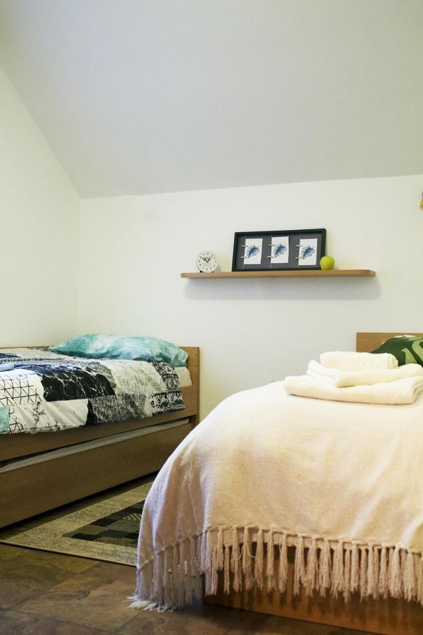 Apartma Pegaz Рогашка Слатина Экстерьер фото
