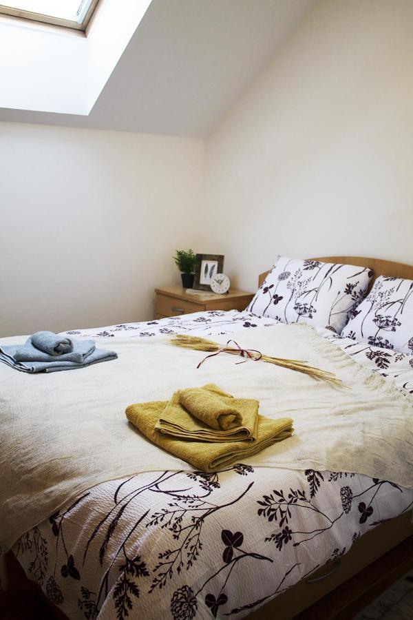 Apartma Pegaz Рогашка Слатина Экстерьер фото