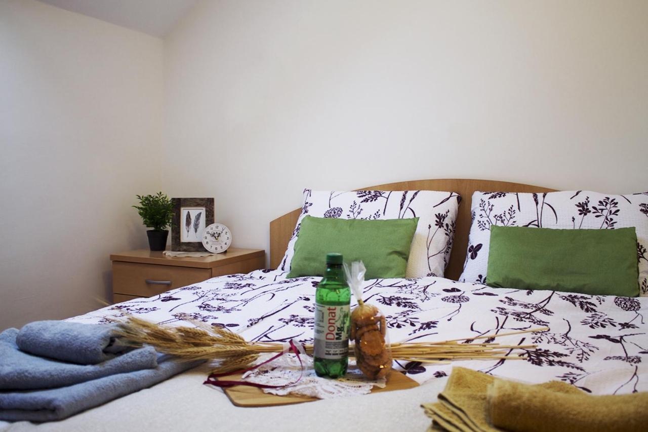 Apartma Pegaz Рогашка Слатина Экстерьер фото
