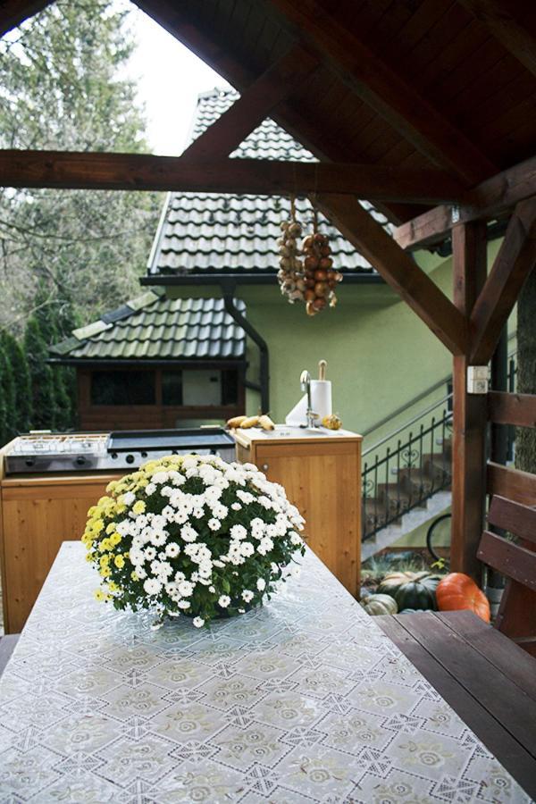 Apartma Pegaz Рогашка Слатина Экстерьер фото